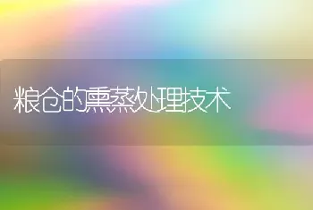 粮仓的熏蒸处理技术