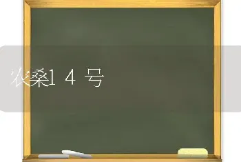 农桑14号