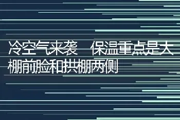 冷空气来袭 保温重点是大棚前脸和拱棚两侧