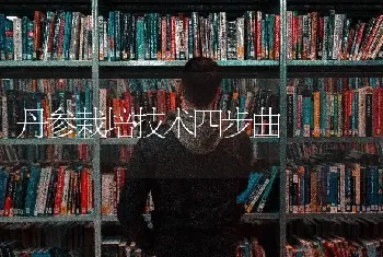 丹参栽培技术四步曲