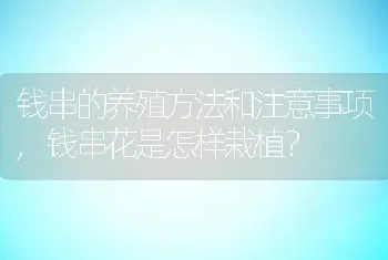 钱串的养殖方法和注意事项