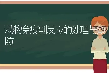 动物免疫副反应的处理与预防