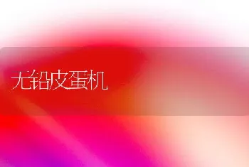 无铅皮蛋机