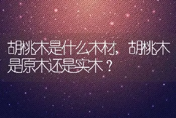 他喵的什么意思