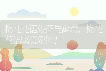 梅花花语象征与寓意