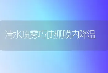 清水喷雾巧使棚膜内降温