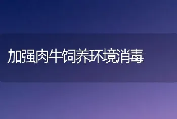 加强肉牛饲养环境消毒