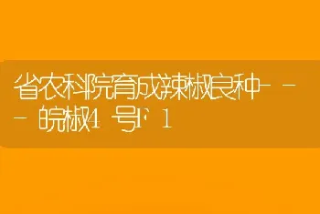 省农科院育成辣椒良种---皖椒4号F1