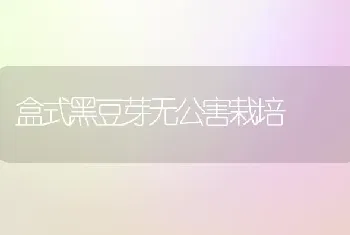 盒式黑豆芽无公害栽培