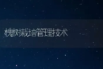 槐树栽培管理技术