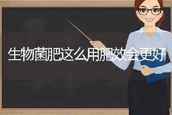 生物菌肥这么用肥效会更好