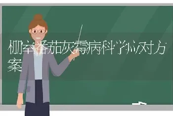 棚室番茄灰霉病科学应对方案