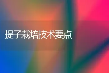 提子栽培技术要点