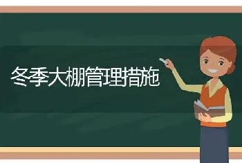 冬季大棚管理措施