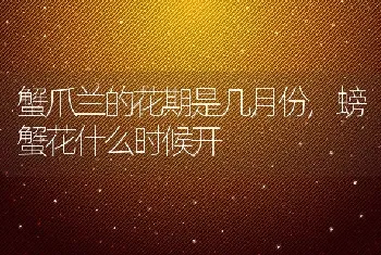 蟹爪兰的花期是几月份