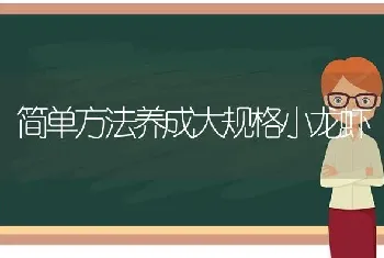 简单方法养成大规格小龙虾