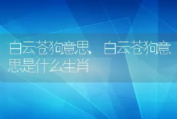 白云苍狗意思,白云苍狗意思是什么生肖