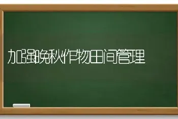 加强晚秋作物田间管理