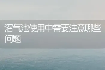 沼气池使用中需要注意哪些问题