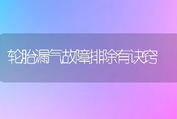 轮胎漏气故障排除有诀窍