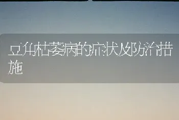 豆角枯萎病的症状及防治措施