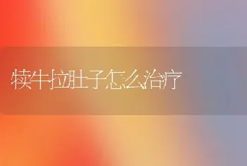 犊牛拉肚子怎么治疗