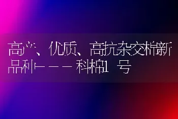 高产、优质、高抗杂交棉新品种---科棉1号