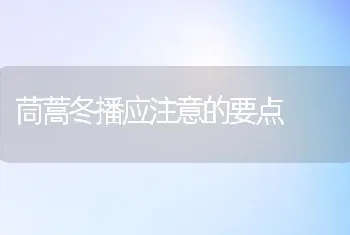 茼蒿冬播应注意的要点