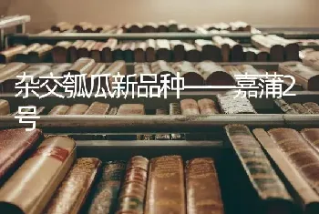 杂交瓠瓜新品种——嘉蒲2号