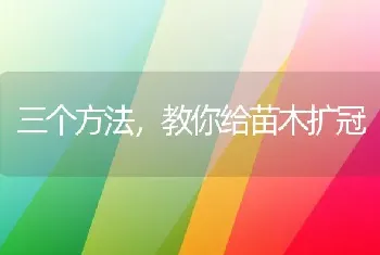 三个方法,教你给苗木扩冠