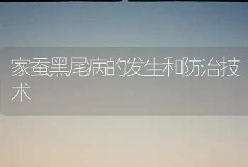 家蚕黑尾病的发生和防治技术