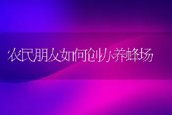 农民朋友如何创办养蜂场