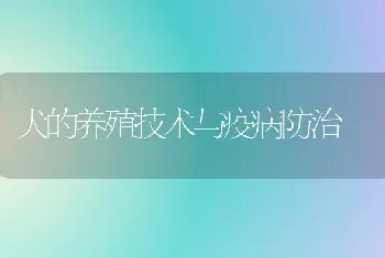 犬的养殖技术与疫病防治