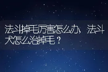 法斗掉毛厉害怎么办