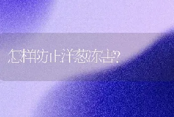 怎样防止洋葱冻害?