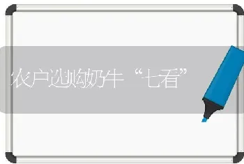 农户选购奶牛“七看”