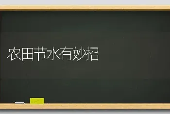 农田节水有妙招