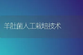 高温天气滴灌不能按天浇