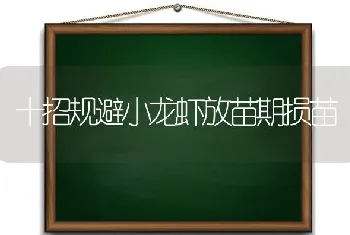 十招规避小龙虾放苗期损苗