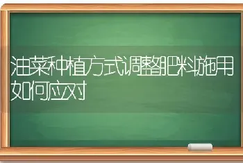 鹌鹑慢性呼吸道疾病的防治