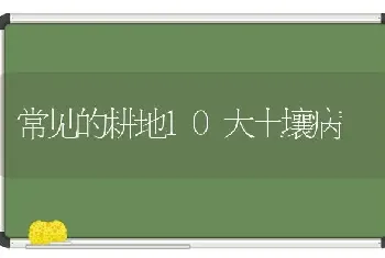 常见的耕地10大土壤病