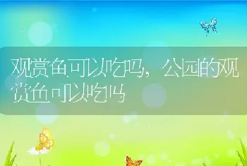 观赏鱼可以吃吗,公园的观赏鱼可以吃吗