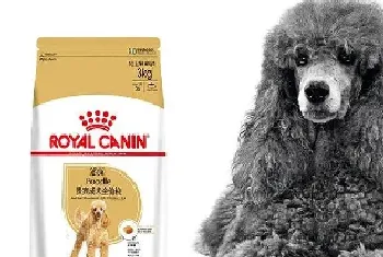 泰迪犬狗粮十大排行榜