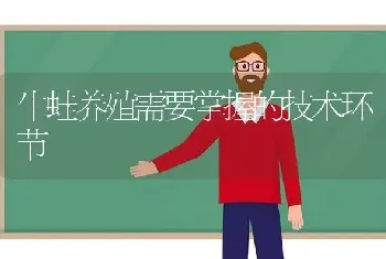 牛蛙养殖需要掌握的技术环节