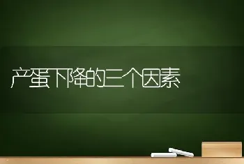 产蛋下降的三个因素