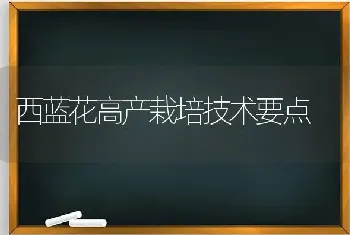 西蓝花高产栽培技术要点