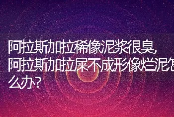 阿拉斯加拉稀像泥浆很臭