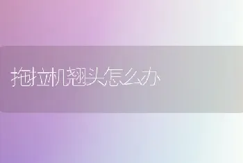 拖拉机翘头怎么办