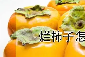 烂柿子怎样做花肥