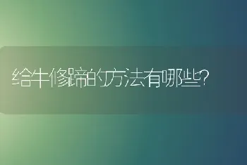 给牛修蹄的方法有哪些?